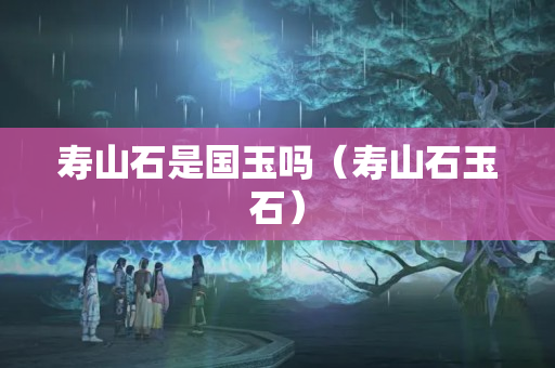 寿山石是国玉吗（寿山石玉石）