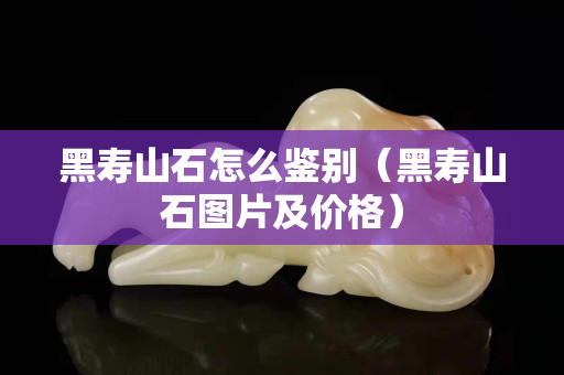 黑寿山石怎么鉴别（黑寿山石图片及价格）