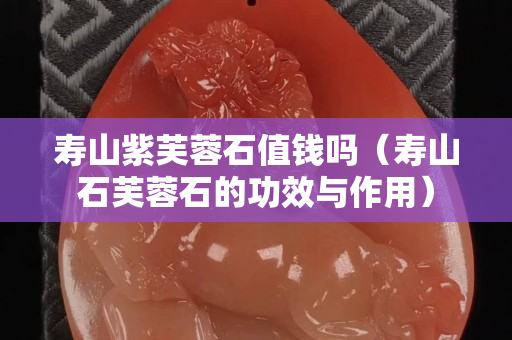 寿山紫芙蓉石值钱吗（寿山石芙蓉石的功效与作用）