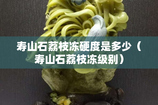 寿山石荔枝冻硬度是多少（寿山石荔枝冻级别）