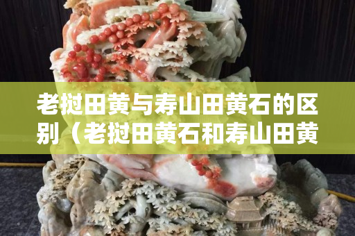 老挝田黄与寿山田黄石的区别（老挝田黄石和寿山田黄的区别）