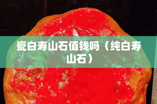 瓷白寿山石值钱吗（纯白寿山石）