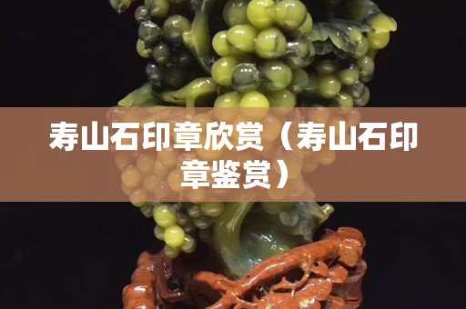 寿山石印章欣赏（寿山石印章鉴赏）