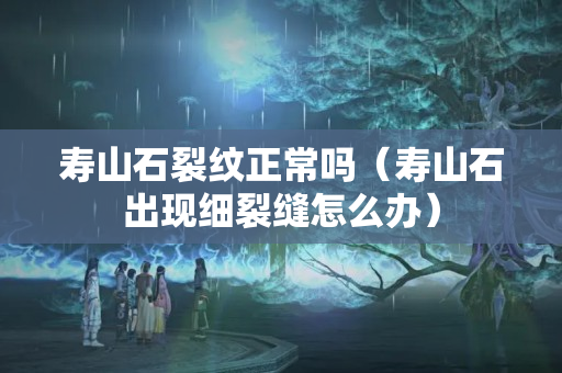寿山石裂纹正常吗（寿山石出现细裂缝怎么办）