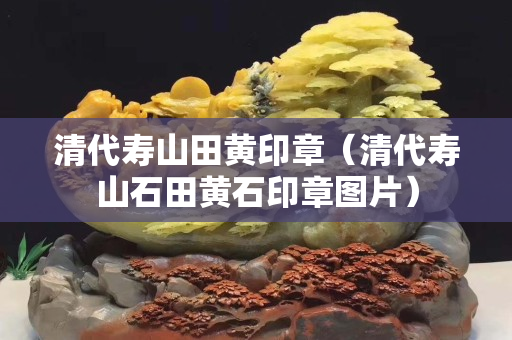 清代寿山田黄印章（清代寿山石田黄石印章图片）