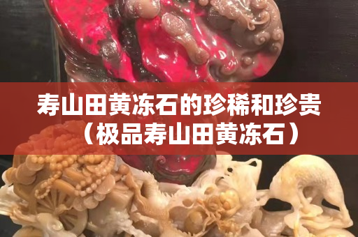 寿山田黄冻石的珍稀和珍贵（极品寿山田黄冻石）