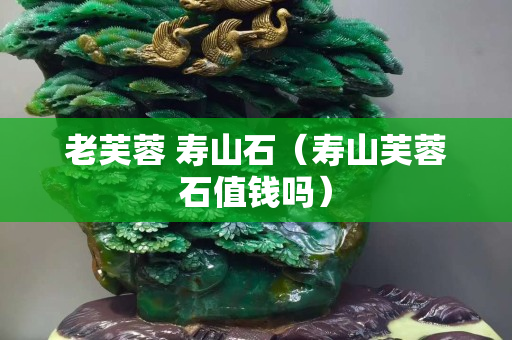 老芙蓉 寿山石（寿山芙蓉石值钱吗）