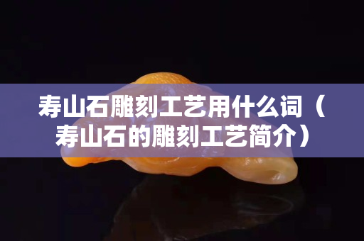 寿山石雕刻工艺用什么词（寿山石的雕刻工艺简介）