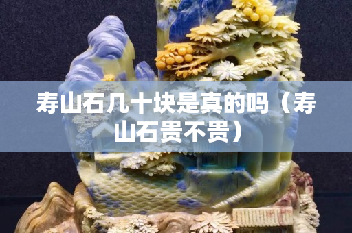 寿山石几十块是真的吗（寿山石贵不贵）