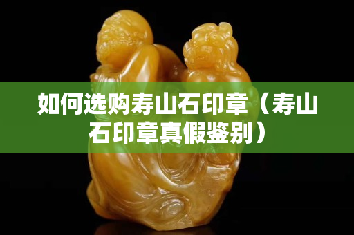 如何选购寿山石印章（寿山石印章真假鉴别）