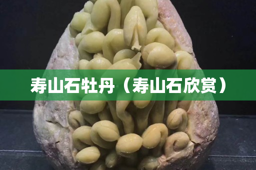 寿山石牡丹（寿山石欣赏）