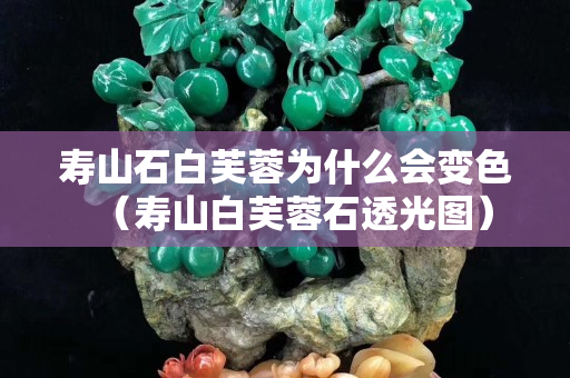 寿山石白芙蓉为什么会变色（寿山白芙蓉石透光图）