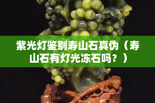 紫光灯鉴别寿山石真伪（寿山石有灯光冻石吗？）