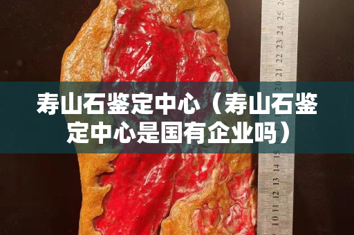 寿山石鉴定中心（寿山石鉴定中心是国有企业吗）