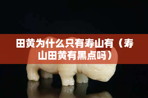 田黄为什么只有寿山有（寿山田黄有黑点吗）