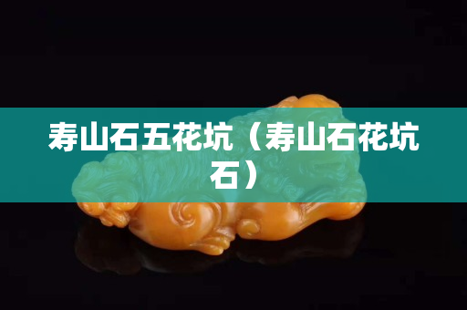 寿山石五花坑（寿山石花坑石）