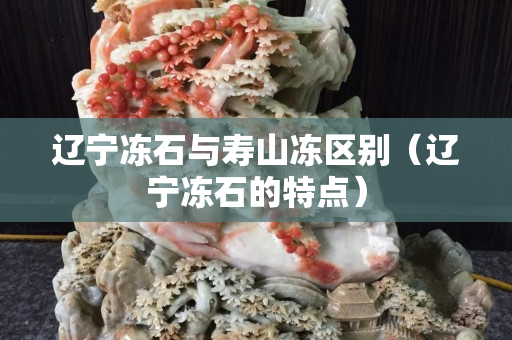 辽宁冻石与寿山冻区别（辽宁冻石的辽宁特点）