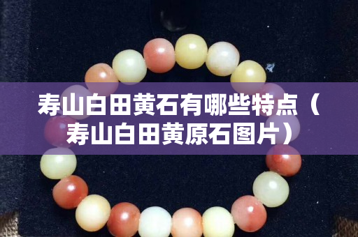寿山白田黄石有哪些特点（寿山白田黄原石图片）