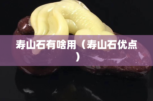 寿山石有啥用（寿山石优点）