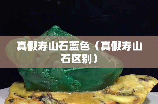 真假寿山石蓝色（真假寿山石区别）