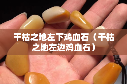 干枯之地左下鸡血石（干枯之地左边鸡血石）
