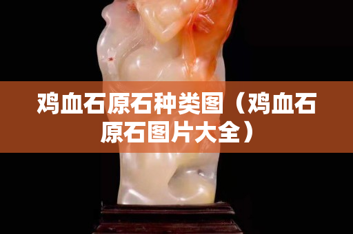 鸡血石原石种类图（鸡血石原石图片大全）