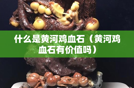 什么是黄河鸡血石（黄河鸡血石有价值吗）