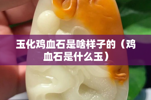 玉化鸡血石是啥样子的（鸡血石是什么玉）