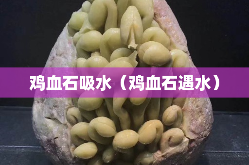 鸡血石吸水（鸡血石遇水）