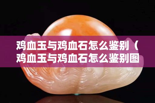 鸡血玉与鸡血石怎么鉴别（鸡血玉与鸡血石怎么鉴别图片）