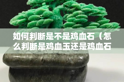 如何判断是不是鸡血石（怎么判断是鸡血玉还是鸡血石）