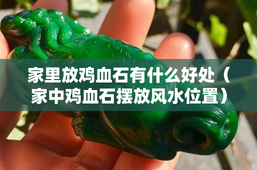 家里放鸡血石有什么好处（家中鸡血石摆放风水位置）