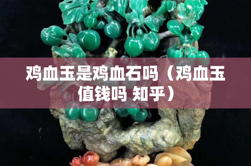 鸡血玉是鸡血石吗（鸡血玉值钱吗 知乎）