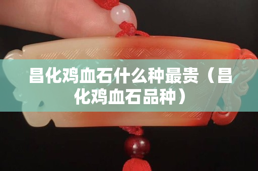 昌化鸡血石什么种最贵（昌化鸡血石品种）
