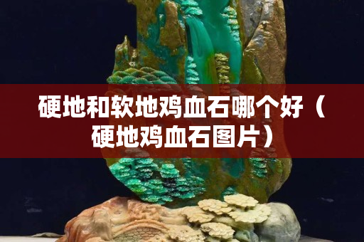 硬地和软地鸡血石哪个好（硬地鸡血石图片）