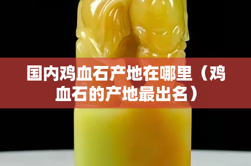 国内鸡血石产地在哪里（鸡血石的产地最出名）