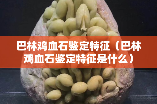 巴林鸡血石鉴定特征（巴林鸡血石鉴定特征是什么）