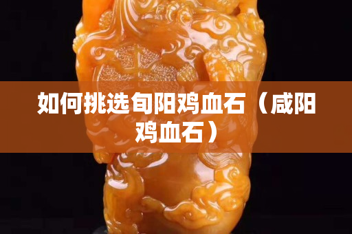 如何挑选旬阳鸡血石（咸阳鸡血石）