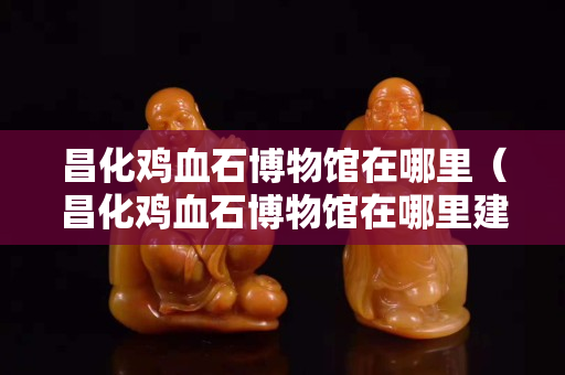 昌化鸡血石博物馆在哪里（昌化鸡血石博物馆在哪里建）