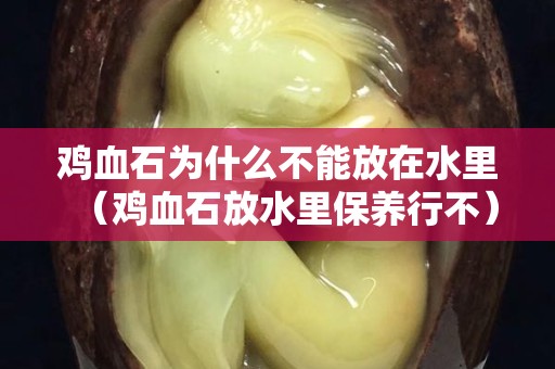 鸡血石为什么不能放在水里（鸡血石放水里保养行不）