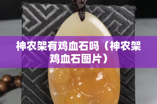 神农架有鸡血石吗（神农架鸡血石图片）