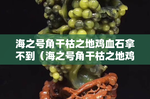 海之号角干枯之地鸡血石拿不到（海之号角干枯之地鸡血石拿不了）