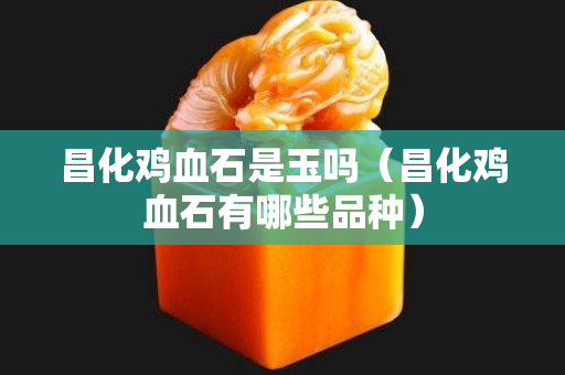 昌化鸡血石是玉吗（昌化鸡血石有哪些品种）