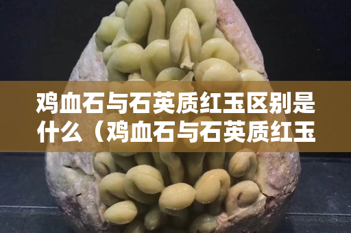 鸡血石与石英质红玉区别是什么（鸡血石与石英质红玉区别是什么呢）