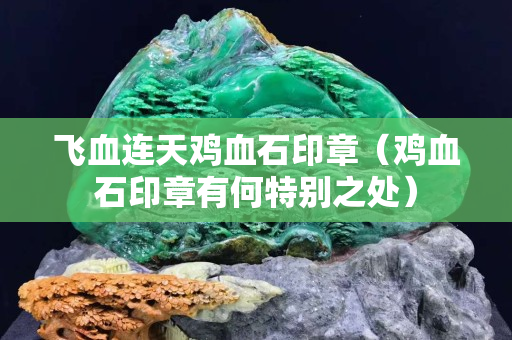 飞血连天鸡血石印章（鸡血石印章有何特别之处）