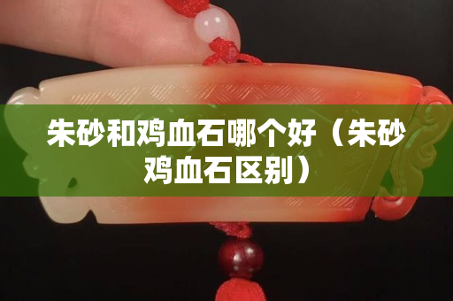 朱砂和鸡血石哪个好（朱砂鸡血石区别）