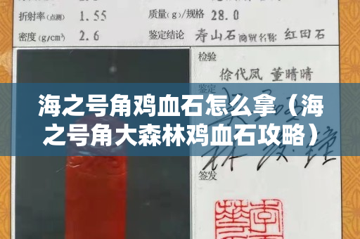 海之号角鸡血石怎么拿（海之号角大森林鸡血石攻略）