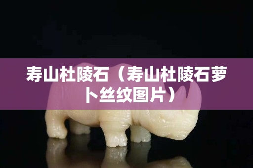 寿山杜陵石（寿山杜陵石萝卜丝纹图片）