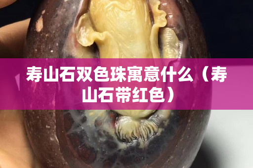 寿山石双色珠寓意什么（寿山石带红色）