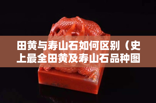 田黄与寿山石如何区别（史上最全田黄及寿山石品种图解）